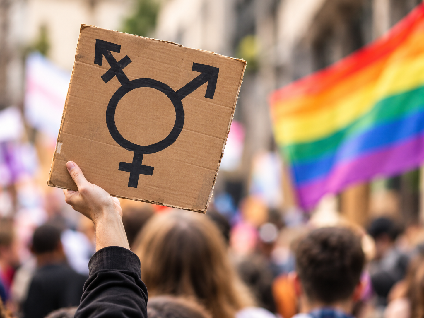 Protesters holding a placard with a transgender symbol beside a rainbow flag